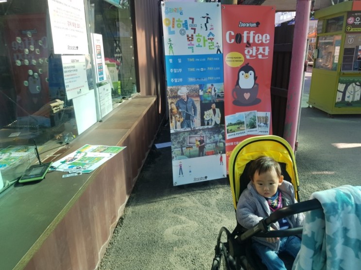 쥬라리움 실내동물원 아이와 갈만한곳 #완전최고