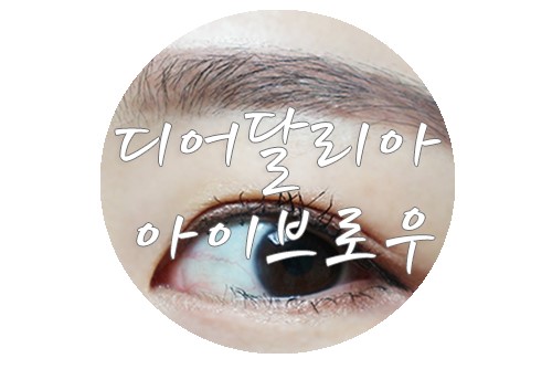 디어달리아 아이브로우로 눈썹 그리기 너무 쉬워요!