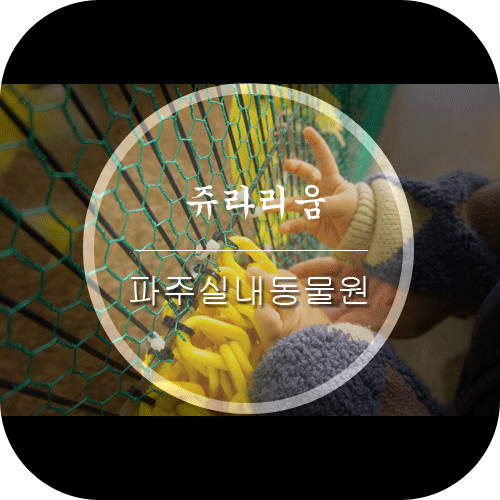 실내동물원 파주프로방스마을 키즈카페 쥬라리움