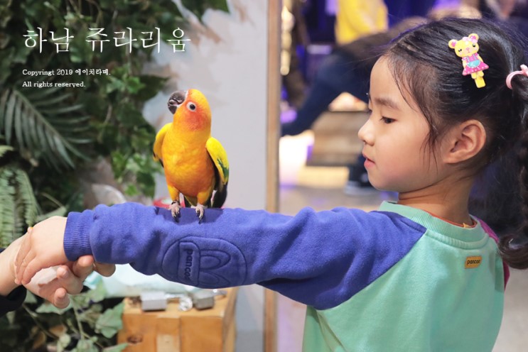 아이와갈만한곳, 실내동물원 쥬라리움 5시간 논 사연.