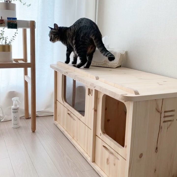 Diane on Instagram: “. 호두가 더 껌딱지가 되었다 . 툭툭 손으로 쳐 깨우던 것이 시원찮았던 것일까.. 이제 내 가슴 위로 올라가 한참을 그렇게 앉아있는다. 어쩐지 꿈에서 그렇게 속이 답답하더라니 . 울지도 않고 앉아 식빵도 굽고 모닝콜까지 겸해줘서 너무 행복 덕분에…”
