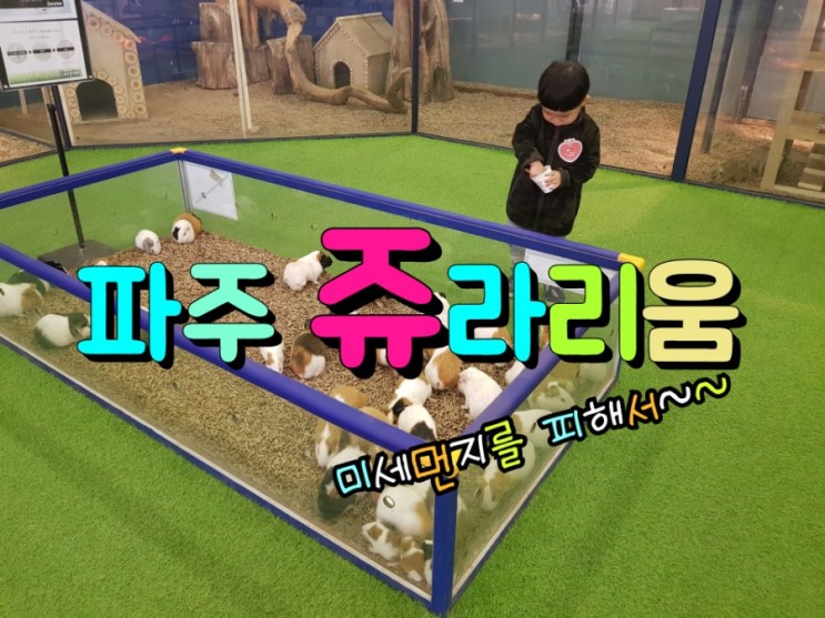 아이와갈만한곳 실내동물원 쥬라리움 재밌네~
