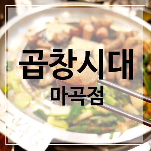 [맛집] 마곡모임장소로 추천! 곱창맛집 곱창시대 마곡점