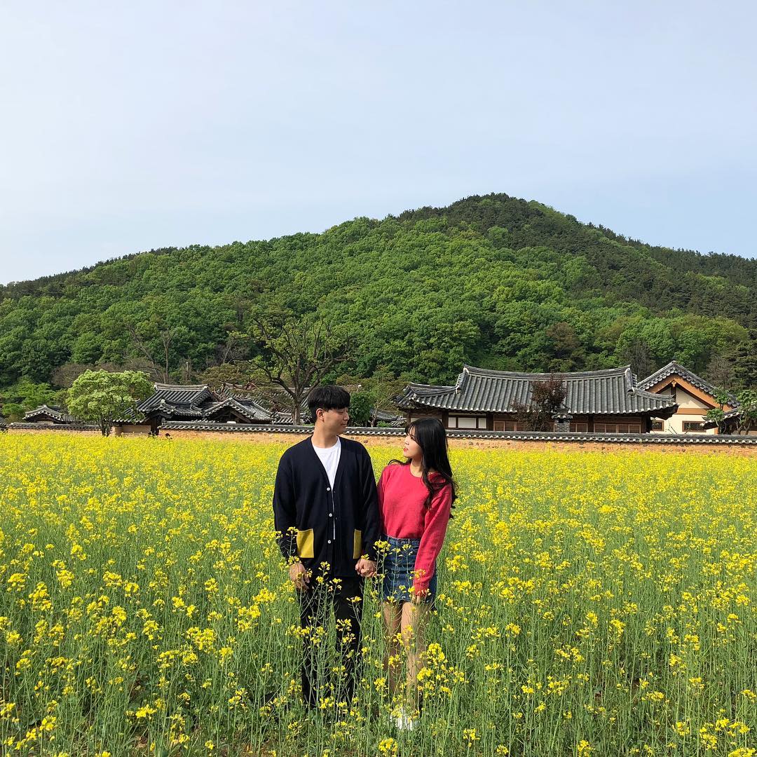 2019.04.27
.
.
.
.
.
.
#대구 #유채꽃 #유채꽃밭 #럽스타그램 
#주말 #소통 #좋아요 #선팔 #맞팔
#선팔맞팔 #선팔하면맞팔 #팔로우
