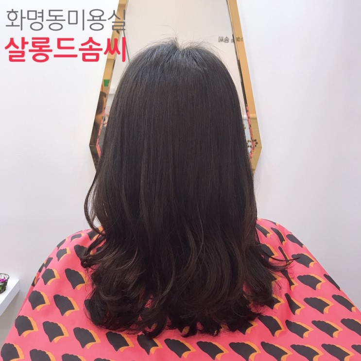 백블로그 : 네이버 블로그