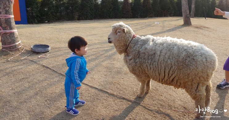 아이와갈만한곳 일산 실내동물원 쥬라리움 재미있다!