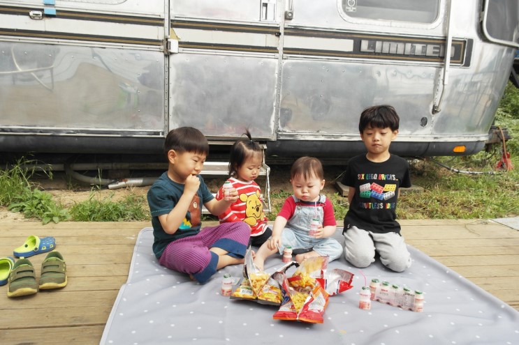 포항 펜션 이색적인 카라반숙박 & 호미곶 유채꽃