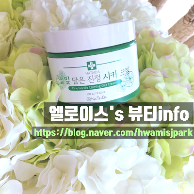 나틴다 솔잎담은 진정 시카크림