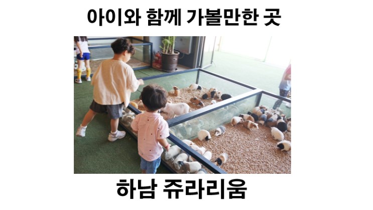 도시속 작은 동물원 :)직접먹이주고 체험하기 [하남] 쥬라리움