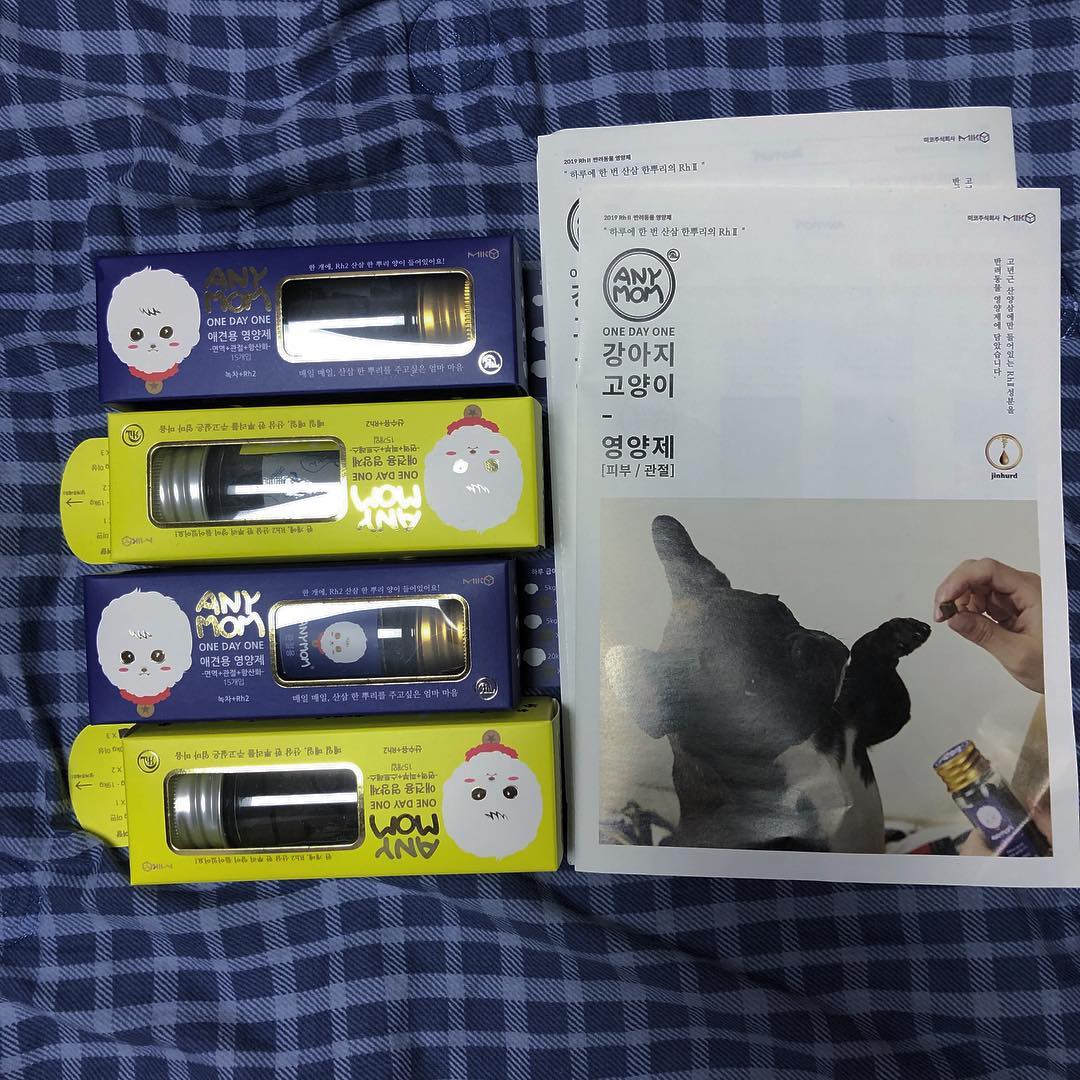 이로울 이 예쁠 아 on Instagram: “강아지도 산삼먹는 시대입니당 !!! 관절용과 피부용 두가지가 있고 관절용은 카테킨이라는 비타민c 3-4배의 한산화 효과가 있고 피부용에는 산수유가 함유되어서 유기산이 근육수축 작용을 도와줍니당 하루에 한알씩 먹으면 되는데 간식처럼 잘먹는당 간식으로…”