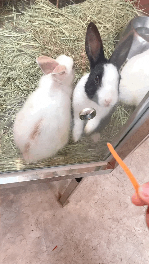 실내동물원 일산 쥬라리움에서 동물들과 함께♡