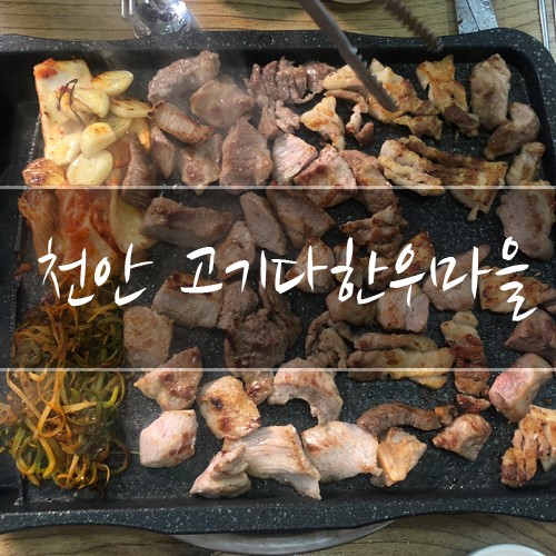 가성비 좋은 고기다한우마을!