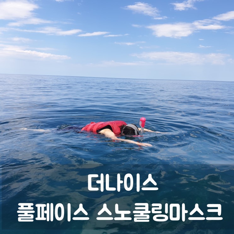 스노쿨링마스크 추천! 더나이스 풀페이스 마스크 착용 후 강릉 바다 속으로 풍덩!