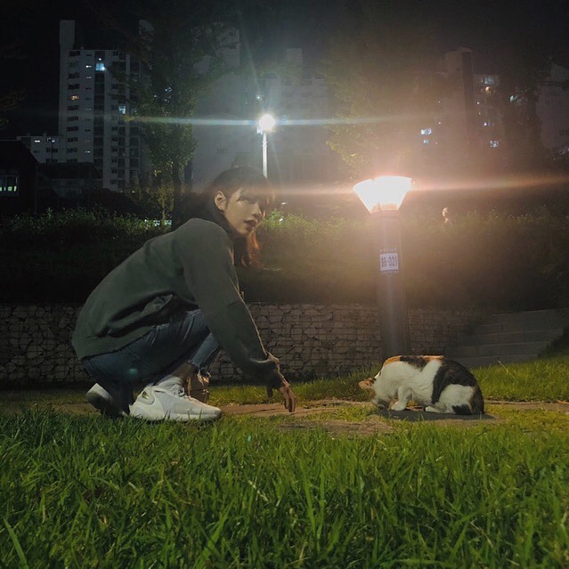 😼
#반가워#고양이정원인가
#길냥이가개냥이