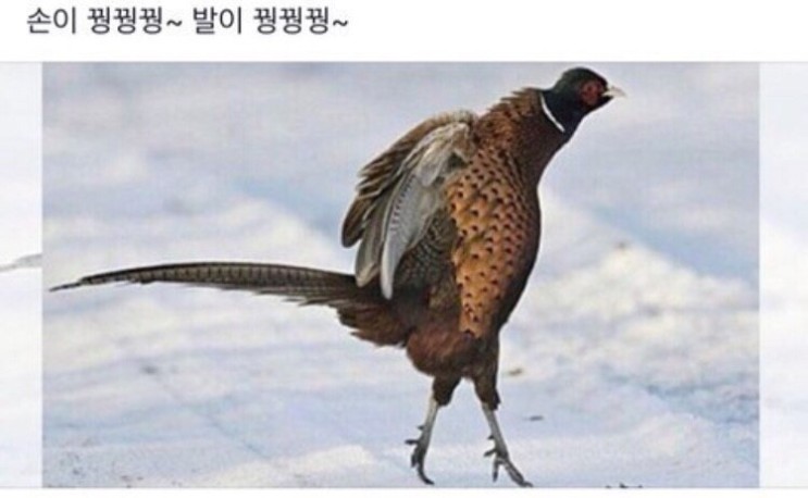 <겨울왕국2 >스모어마켓 팝업스토어 오픈! 안국역 삼청동 데이트 추천 / 올라프체험