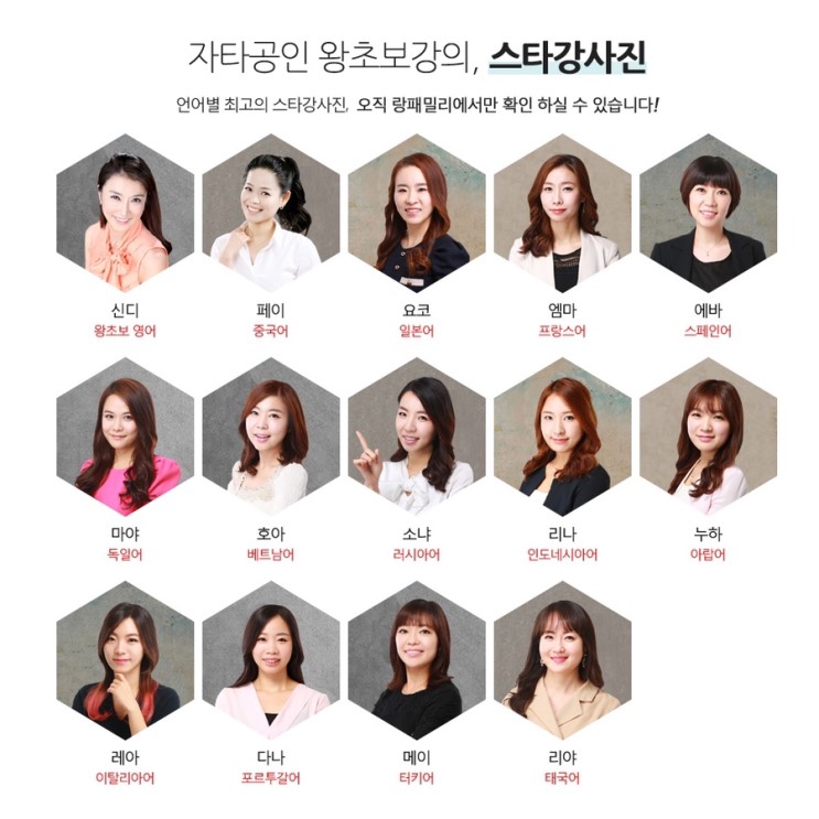 14개 대표 언어 기초를 배울때는 랑패밀리