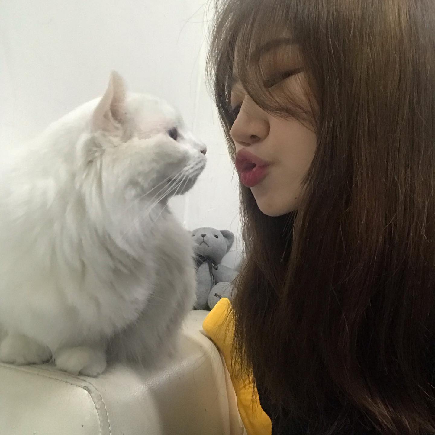 나도 냥이 ㅜ😖