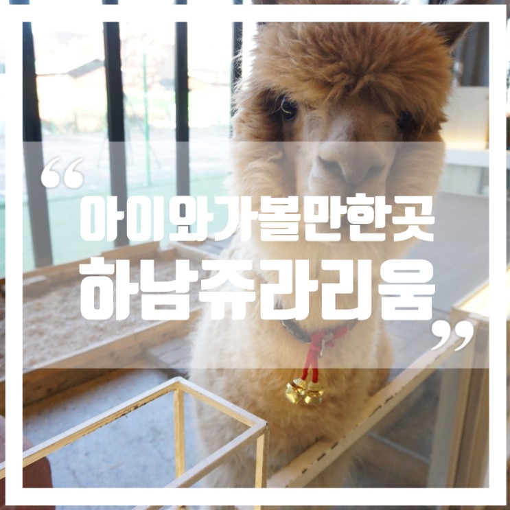 아이와갈만한곳 하남 쥬라리움 , 실내동물원 + 키즈카페 둘 다 있어 좋다!