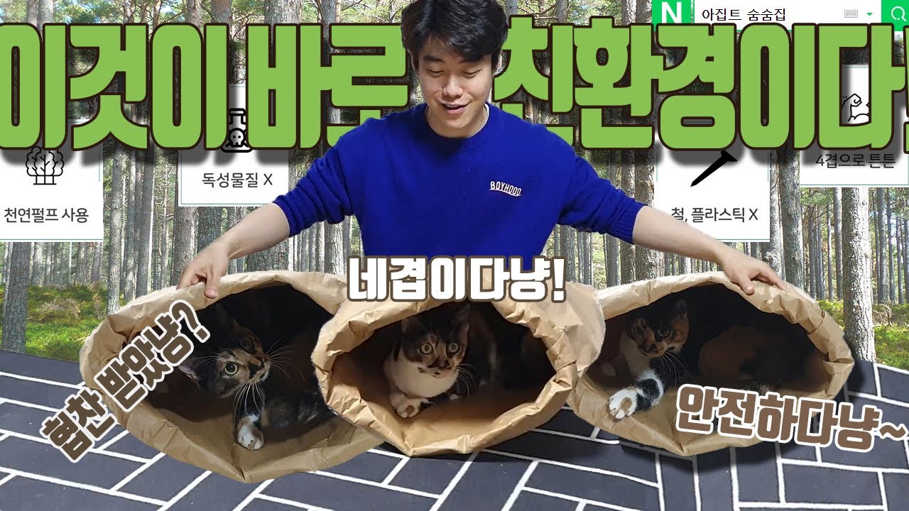 벌써 협찬을?! 무독성, 친환경제품, 아집트숨숨집!! 반려묘를 위한 친환경적 선택!! 별아 우리 건강하게 오래오래 같이 살자~!!