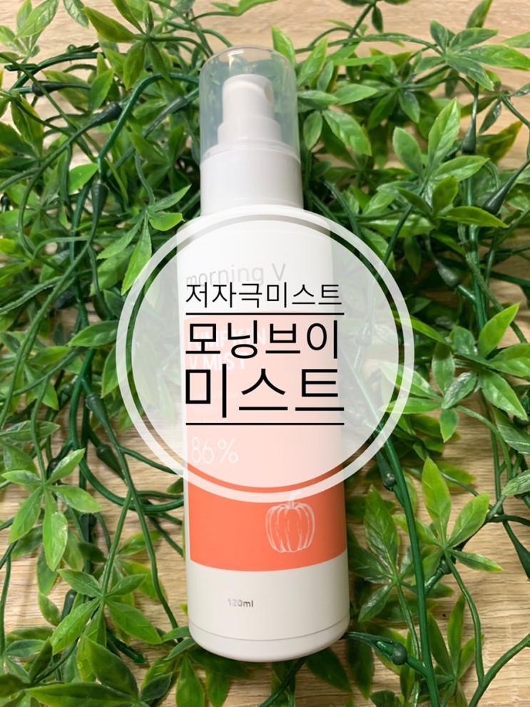 미스트추천 촉촉한 저자극미스트 모닝브이 호박 브이 미스트 사용후기