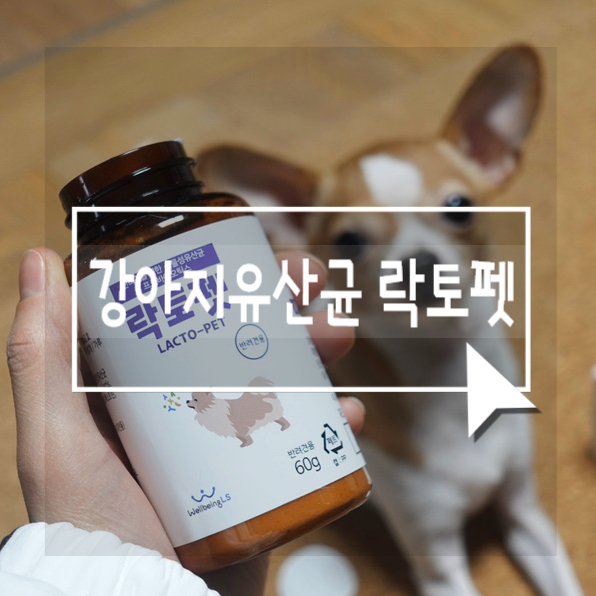 강아지유산균 영양제 락토펫, 먹이니까 확실히 변이 다르네
