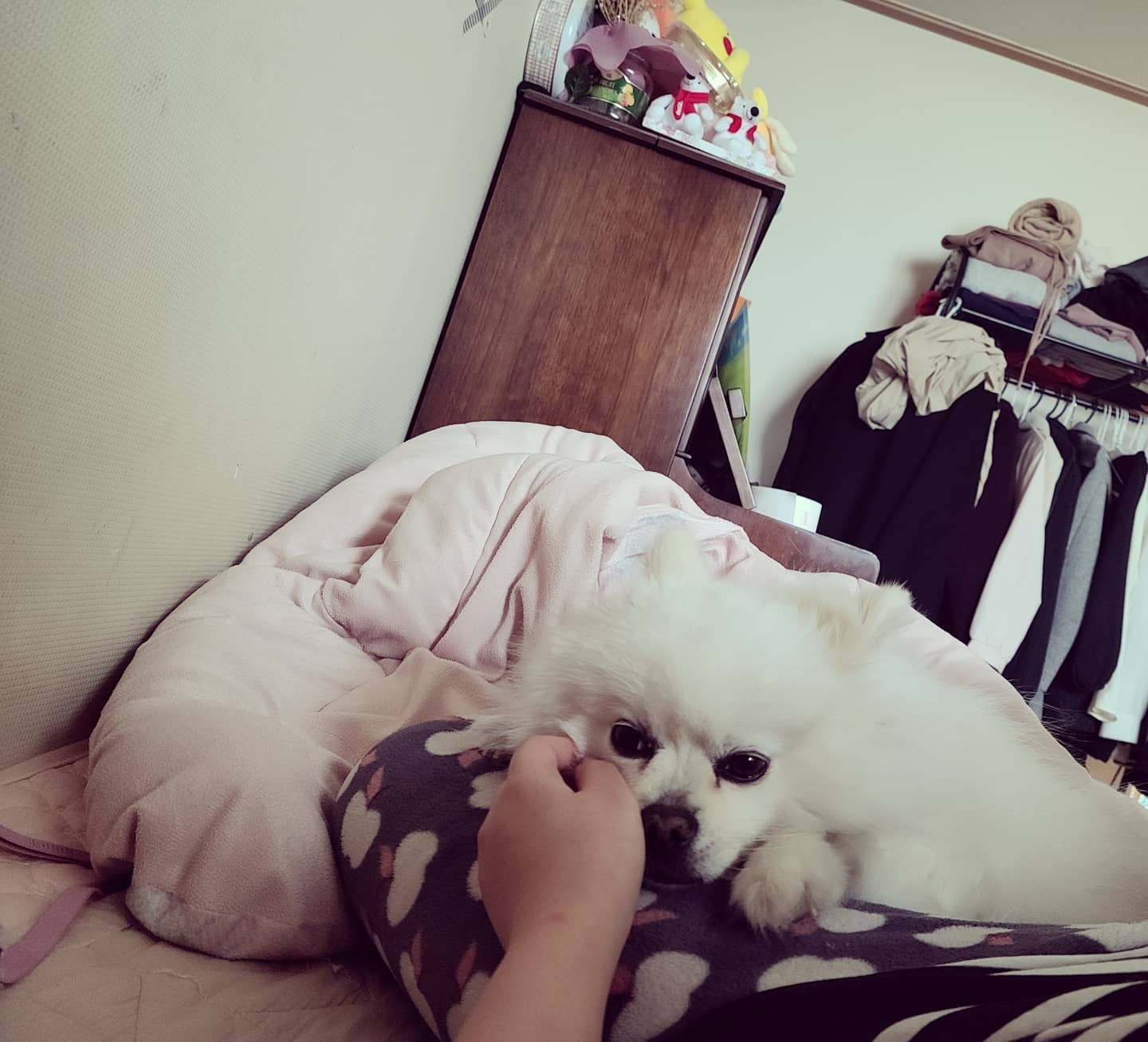 나도 나를 모르겠다 😫

왜 스스로 단절되고 멀어지려는 걸까

나는 사람들을 좋아하는데 ,
왜 귀찮아하고 연락을 안하는걸까
음, 그만큼 너무 말하기도 복잡해
그냥 카톡을 보는게 귀찮아,,,
그리고 이상하게 오늘따라 
톡으로 말하는거 자체가 짜증나서 
화병걸릴거같다 이 말이야,,,
글쓰면서도 왜 내가 이런 생각을 하고있는건지 의문

그냥 답답할땐 아무생각을 하지말자 🤫