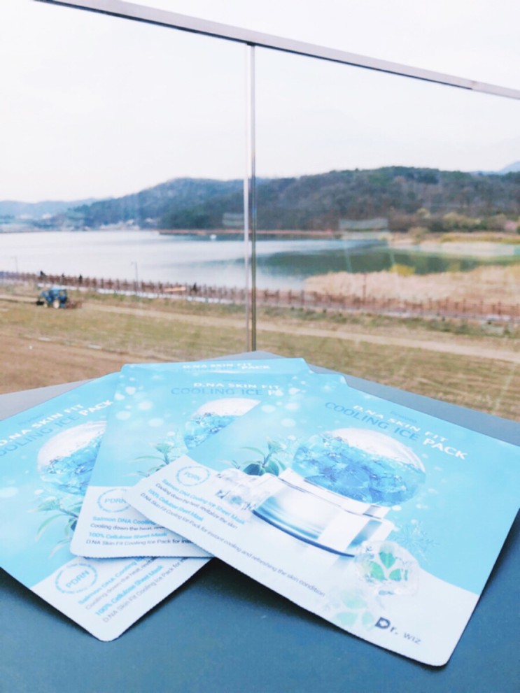 데일리마스크팩추천!의사가만든 핑크부D.NA스킨핏쿨링아이스팩