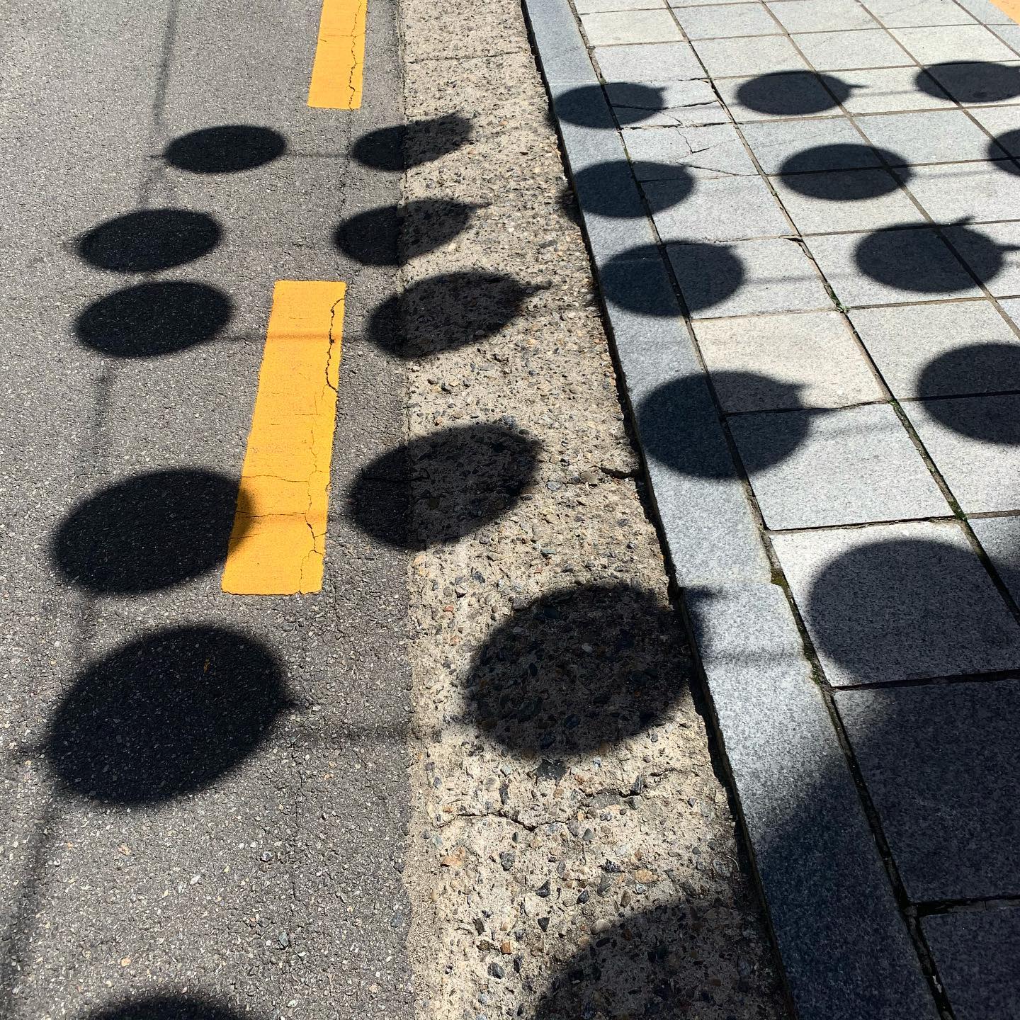 콘텐츠