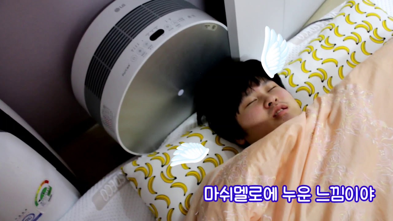 바네스데코 코자자토퍼 로 불면증 치료했어요😴