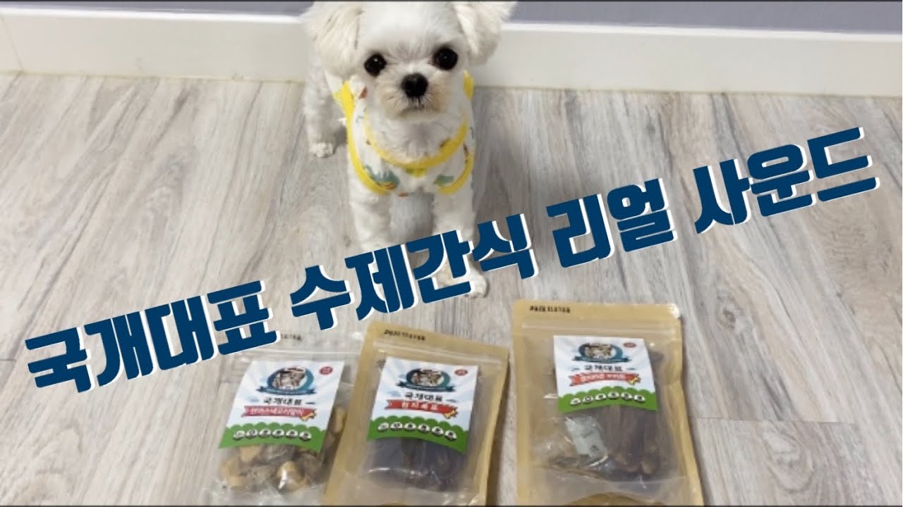 국개대표 수제간식 리얼사운드(강아지 먹방,이팅사운드,asmr)