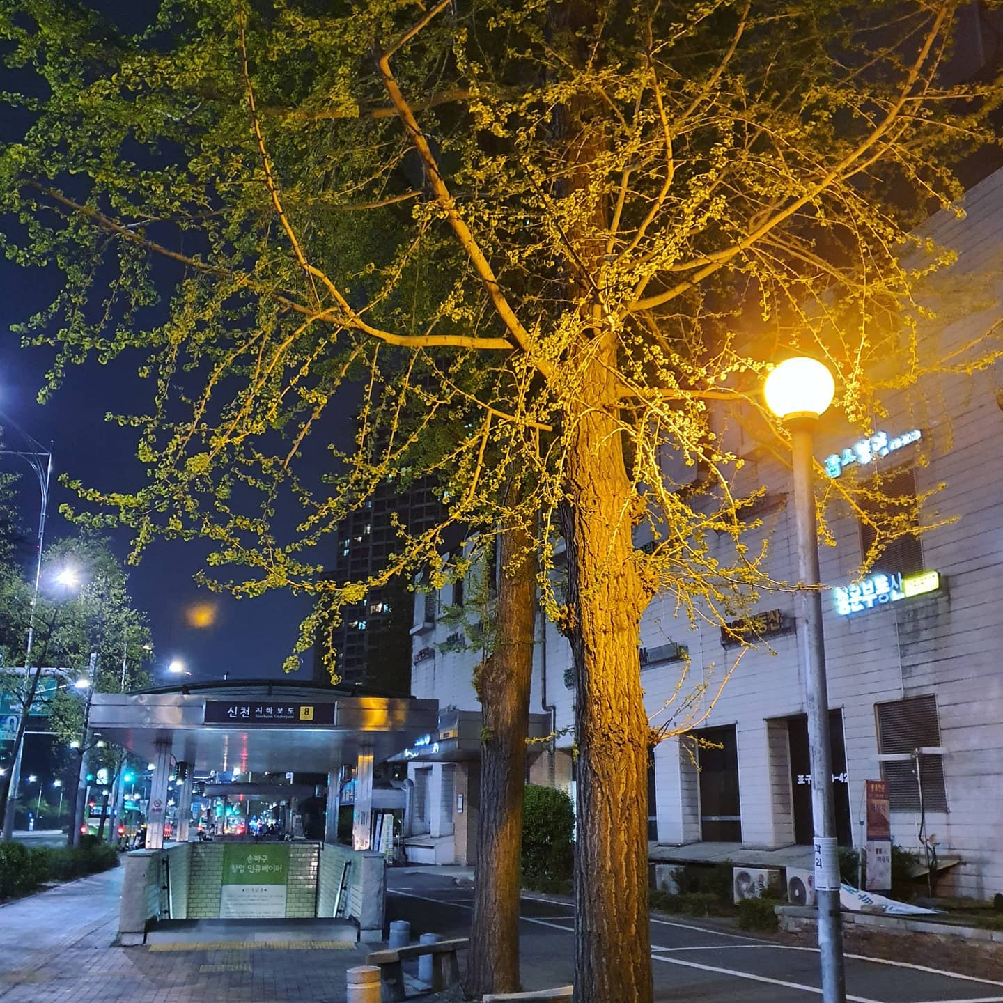 #야경 #갬성 #사진
#갱- #갱-갱 #🤟🏻
#신천 #지하보도
#감성사진 #밤 #밤사진 #폰카 #잠실역
