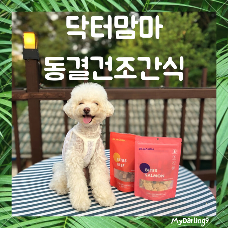 강아지간식 노즈워크간식 닥터맘마 동결건조간식