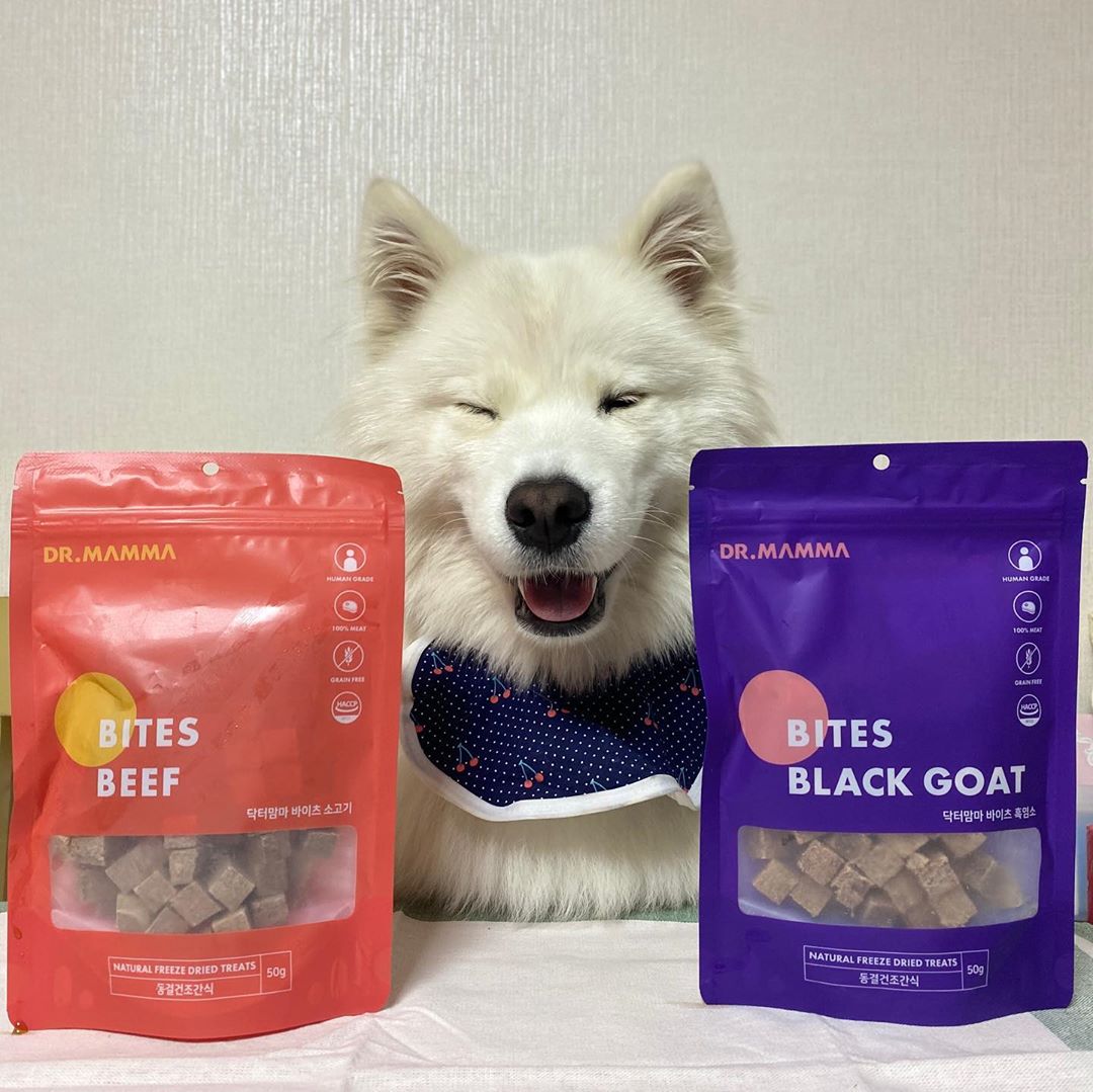 빵구🐶 on Instagram: “@dr_mamma_official 동결건조 간식 빵구가 먹어봤어용👀 닭, 연어, 소, 오리, 참치, 흑염소 6종이나 있네요!!! 강아지뿐 아니라 고양이도 급여가능!! . 살코기 100% 휴먼