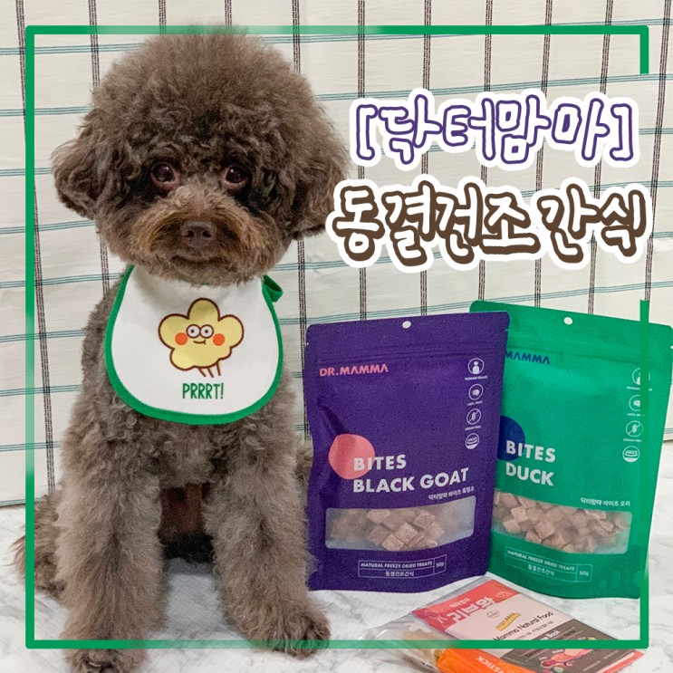 강아지간식 뭘 먹여야할까요? 닥터맘마 동결건조간식