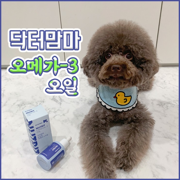 강아지 오메가3 안심하고 먹여요! 닥터맘마 오메가-3 오일
