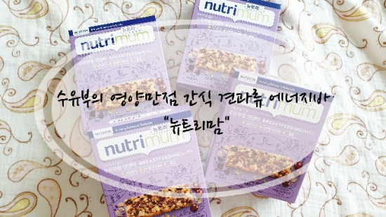 [간식] 수유부의 영양만점 간식 견과류 에너지바 "뉴트리맘"