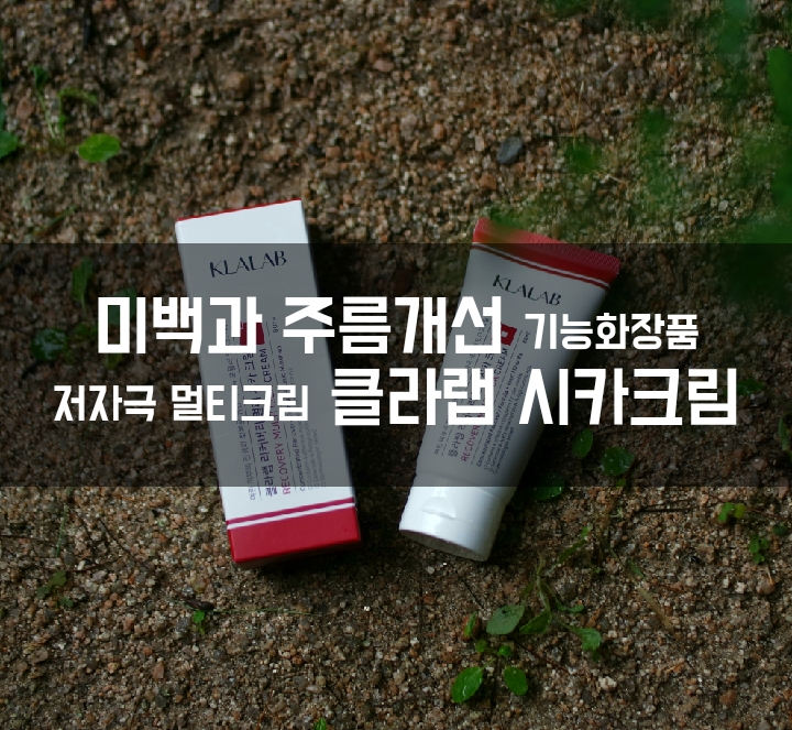 ::시카크림:: 미백과 주름개선에 탁월한 효능을 가진 왓슈 멀티시카크림