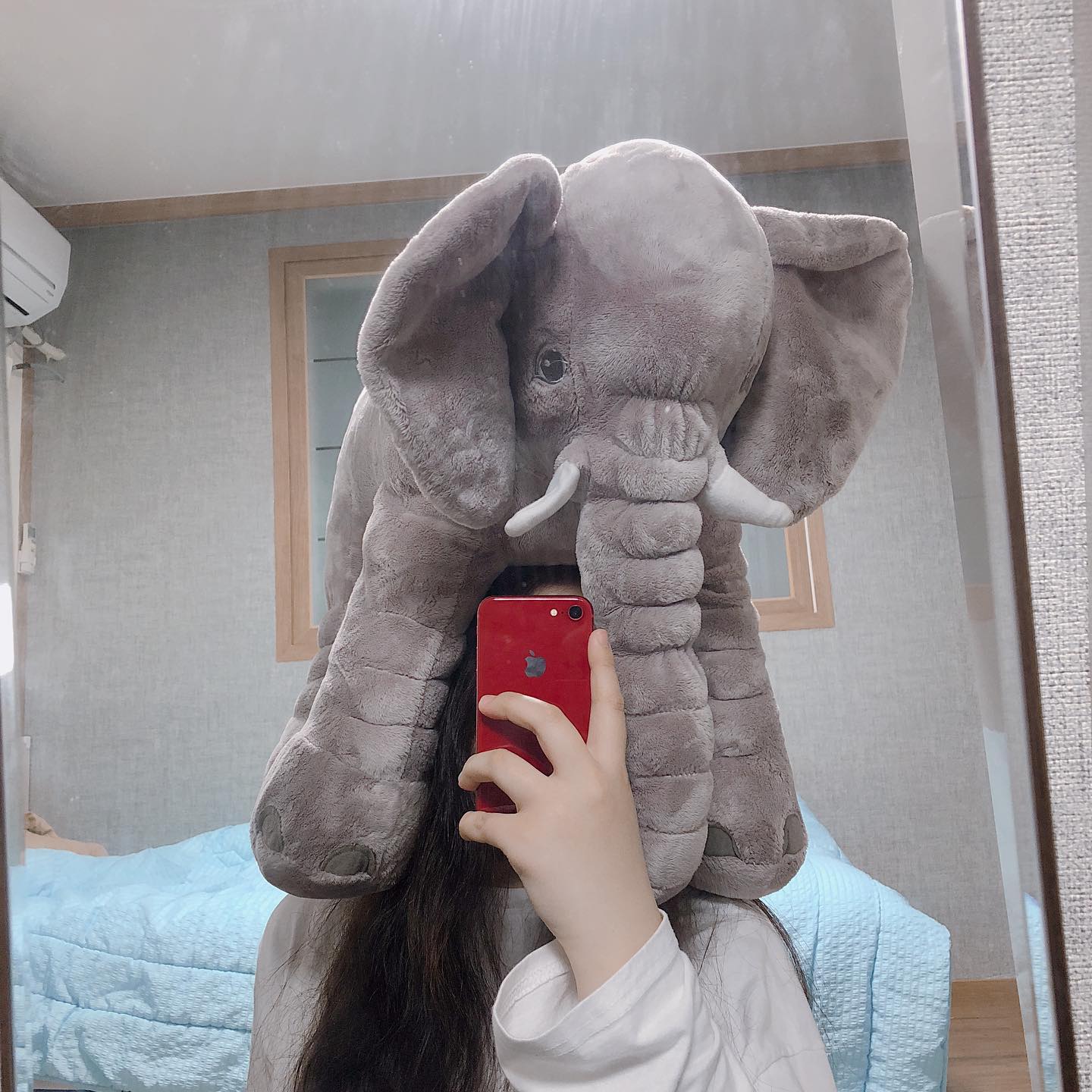 지금은 떠나간 집주인 코순이..