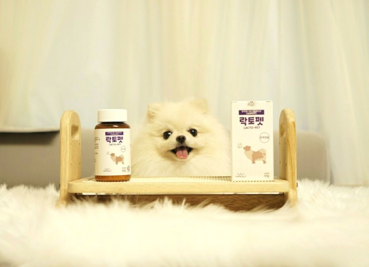 강아지영양제추천 / 장건강을 위한 유산균 "락토펫"