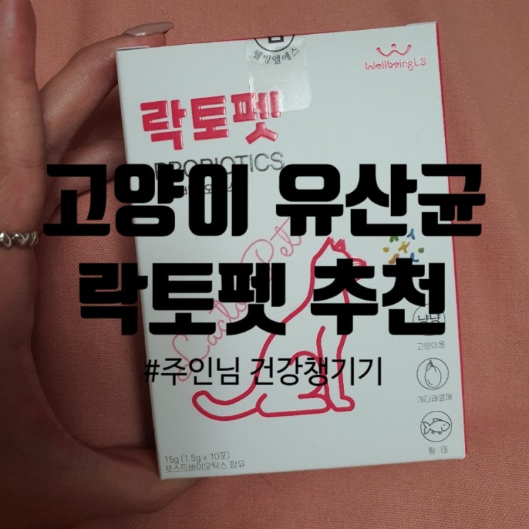 고양이 유산균 추천 : 웰빙엘에스 락토펫 냥냥이용