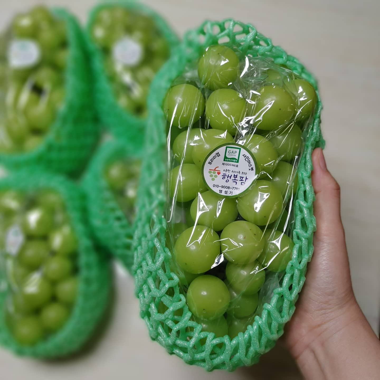 theshinefarm 
인친님이 정성스레 키워내신
샤인 머스캣으로 1일1샤샤샤~
플렉쓰으💚💚
샤인팜님의 피땀눈물이
정비례로 담긴 듯 한
아삭 뽀득 달콤한 샤이니들
넘넘 맛있어요💕
일년을 기다린 보람이 있어요😘

요즘 손가락 관절에 문제가 생겨서 
인스타를 쉬고 있어요ㅠㅠ
괜찮은 듯 해서 움직이면 또 안좋아지네요
나아지면 돌아올게요~~
인님들도 환절기 건강 조심하세요!
#5QKJLLNA