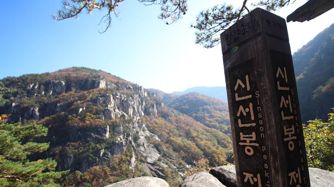#동해여행 #무릉계곡 #신선봉 #가을단풍 #단풍여행 #동해시SNS서포터즈

무릉계곡의 숨겨진 비경 신선봉. 신선봉에 올라 내려다보는 무릉계곡의 절경이 정말 멋진 곳으로 특히 가을 풍경이 최고!! 쌍폭포에서 그리 멀지 않은 곳에 위치하고 있으니 올 가을 무릉계곡으로 여행을 떠나신다면 신선봉에 올라보시길 추천드립니다.

동해시 무릉계곡: 강원 동해시 삼화로 584 삼화사