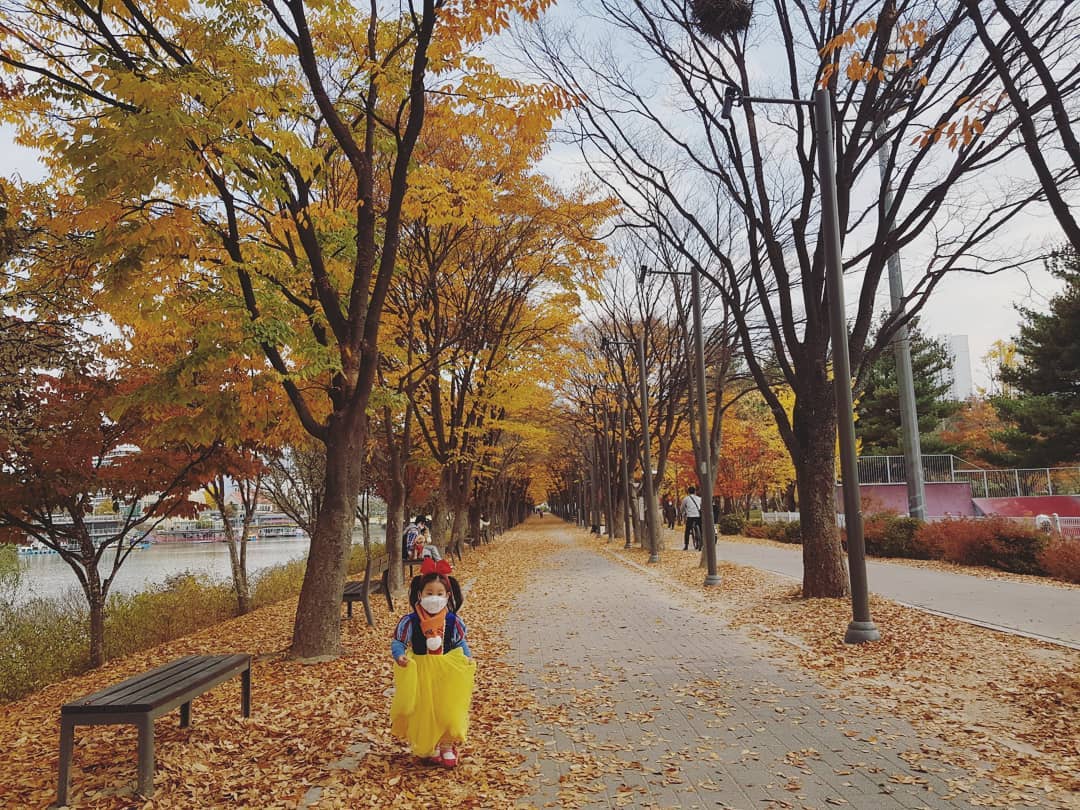 #공지천 #공지천산책#낙엽스타그램#단풍🍂🍁 #백설공주태링#춘천예쁜곳#춘천데이트 #춘천가볼만한곳