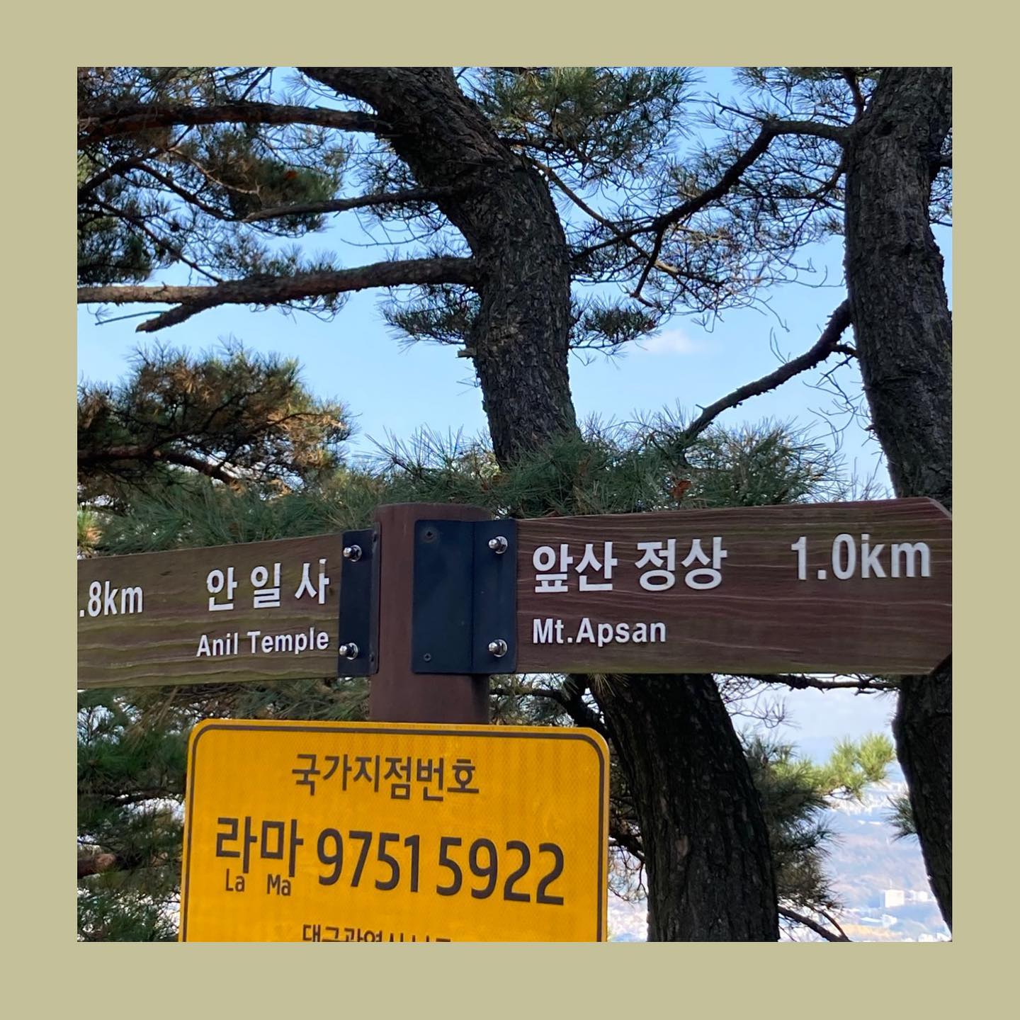 4계절을 온전히 느끼는 1년.
🍂 
🍂 
“𝙸 𝚌𝚊𝚗 𝚗𝚘𝚝 𝚎𝚗𝚍𝚞𝚛𝚎 𝚝𝚘 𝚠𝚊𝚜𝚝𝚎 𝚊𝚗𝚢𝚝𝚑𝚒𝚗𝚐 𝚜𝚘 𝚙𝚛𝚎𝚌𝚒𝚘𝚞𝚜 𝚊𝚜
𝚊𝚞𝚝𝚞𝚖𝚗𝚊𝚕 𝚜𝚞𝚗𝚜𝚑𝚒𝚗𝚎 𝚋𝚢 𝚜𝚝𝚊𝚗𝚍𝚒𝚗𝚐 𝚒𝚗 𝚝𝚑𝚎 𝚑𝚘𝚞𝚜𝚎.”

🤦🏻‍♀️정상은 함부로 가는 곳이 아니다..^^
(주비나 다음엔 더 좋은길로 가자아아~~~)