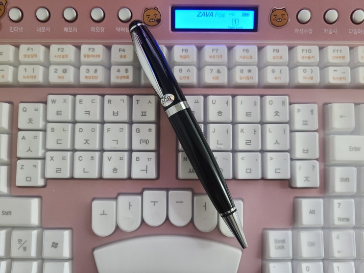 속기사 필수 아이템 초소형 볼펜 녹음기 PV-100 추천!