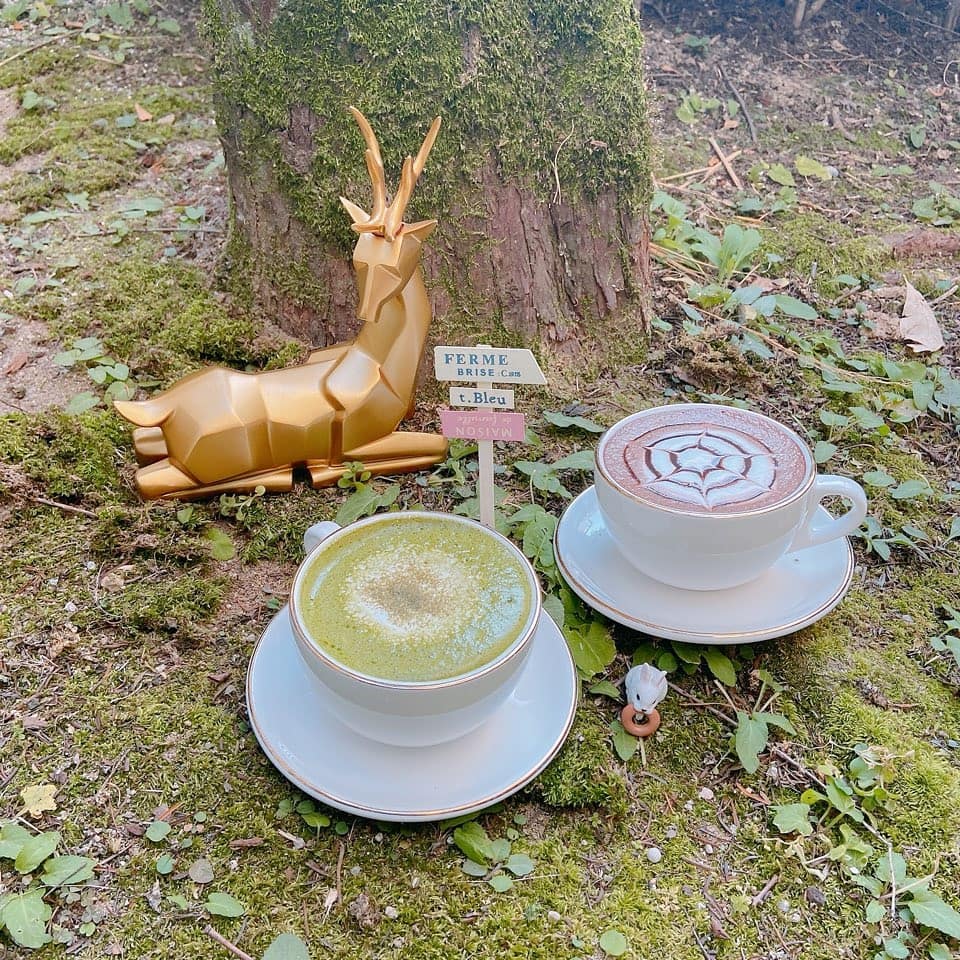 .
따뜻한 그린티라떼와 초코라떼로 달달한 오후 보내세요🍵☕
.
.
.
.
.
.
❤️의정부시 체육로 278 휴먼시아 104동 1층상가
ㆍ💛녹양역1번출구 도보6분
ㆍㆍ💚전화 예약 및 사전 주문가능 
ㆍㆍㆍ💙  070-4262-8999
.
.
.
#카페이음 #이음카페 #cafeieum #녹양동카페이음 #의정부카페 #녹양동카페 #양주카페 #녹양역카페 #녹양동맛집 #남양주카페 #와플맛집 #커피맛집 #따뜻한커피 #원두 #가을#가을카페 #녹차라떼 #그린티라떼 #초코라떼 #coffee #tea #sweet #music #coffeetime #cafe #dessert #latte #latteart #artwork #potozone