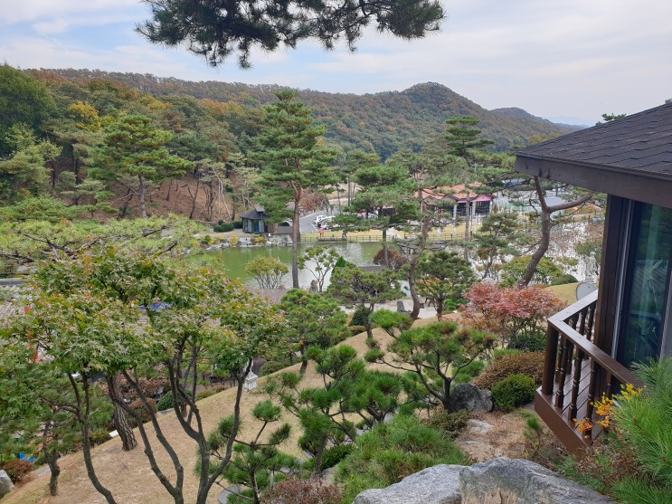 여주 숲을그리다 몬테쿠치나 : 여주 맛집추천 레스토랑