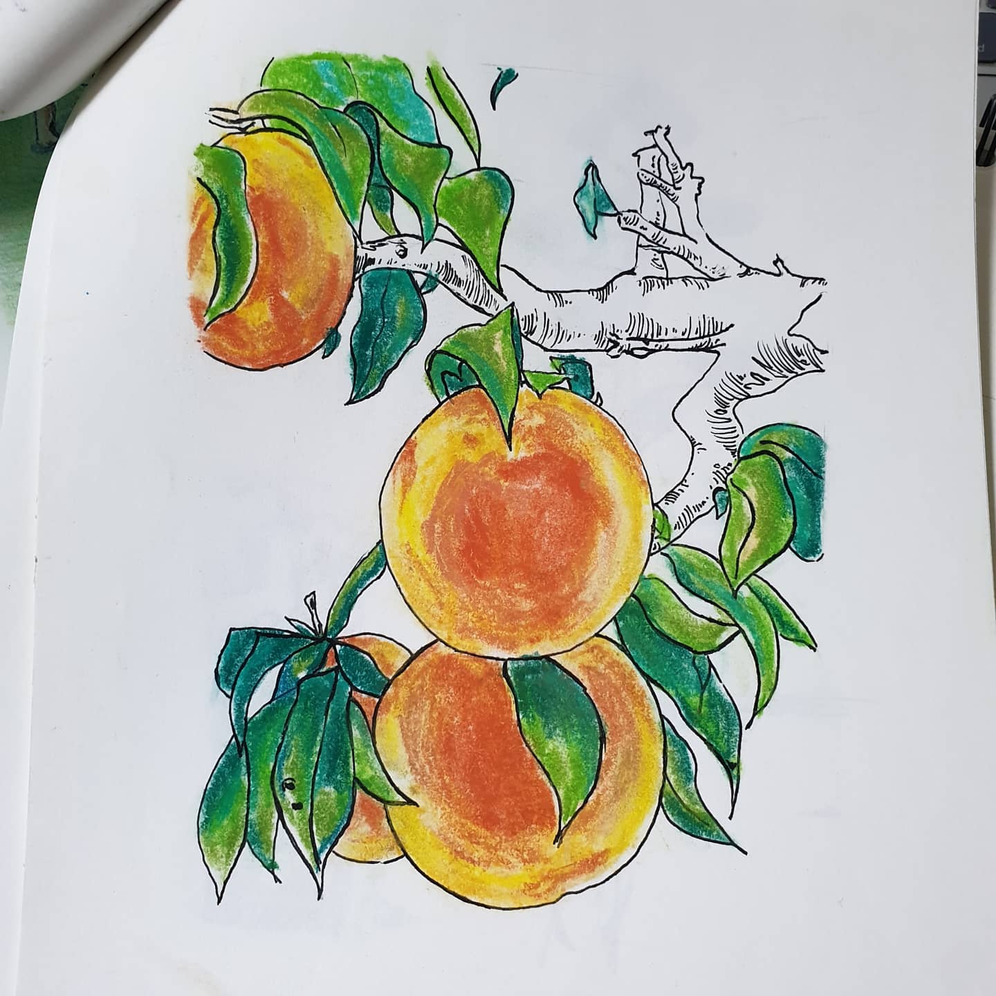 파스텔 그림💓
#파스텔 #그림연습 #오늘의그림 #dailydrawing #만년필 #fountainpen #그림 #drawing  #drawingsketch #그림계정맞팔 #맞팔 #맞팔선팔환영 #fff #f4f