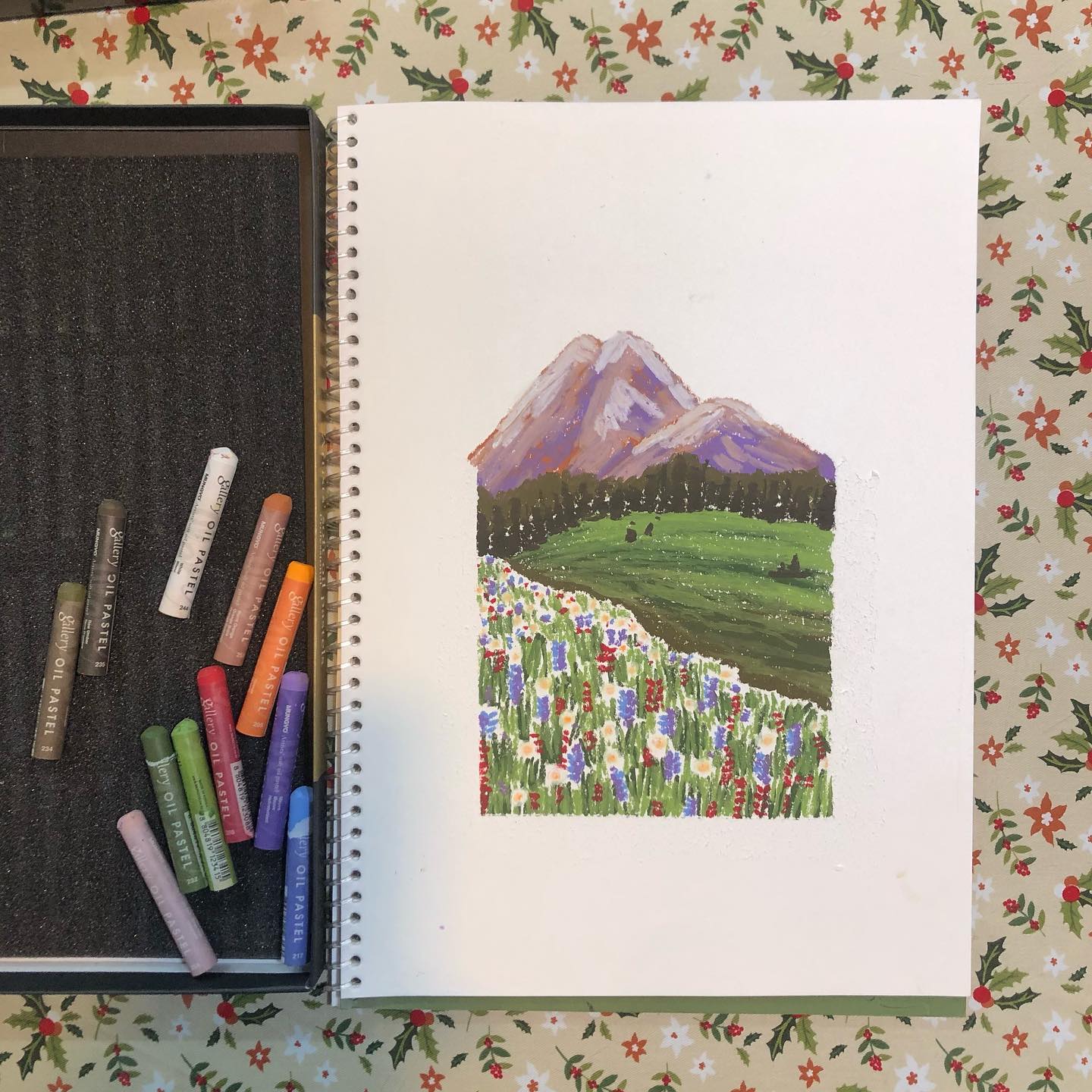 신비로운 산🏔🦄💐

#오일파스텔 #오일파스텔드로잉 #oilpastel #oilpasteldrawing #취미생활 #취미스타그램