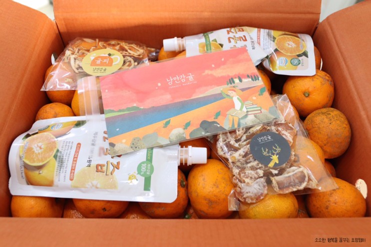 낭만감귤: 제주도 친환경 고당도 감귤 농장 믿고 먹을 수 있어요.